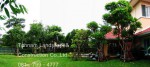 05 Landscape 2549 Set 1