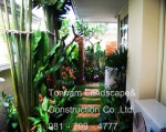 14 Landscape Cee2548