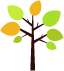 tree664